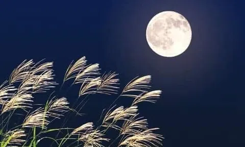 Biết phải làm gì