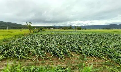 Miền Trung nắng cháy da