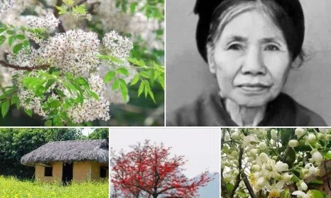 Nhớ lắm tháng ba ơi