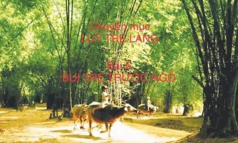 “Vụ án” bụi tre trữ tình