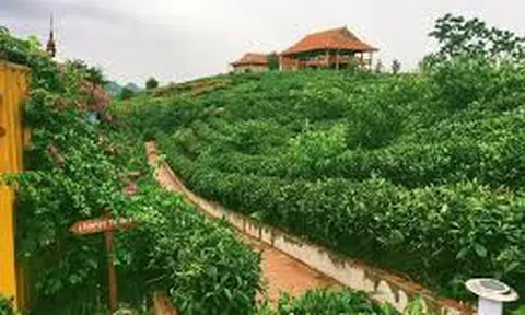 Vườn tháng tư