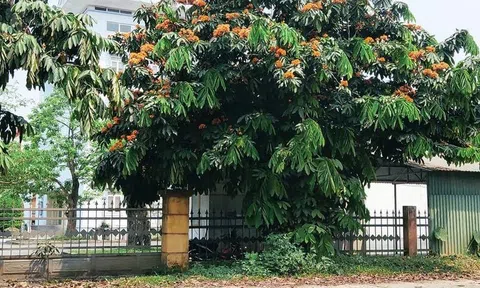 Cuộc đời, số phận