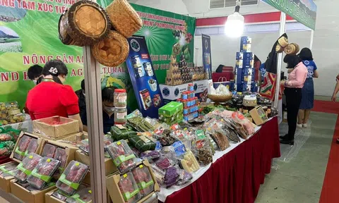 Tưng bừng khai mạc Hội chợ quốc tế Vietnam Expo 2022 tại Hà Nội