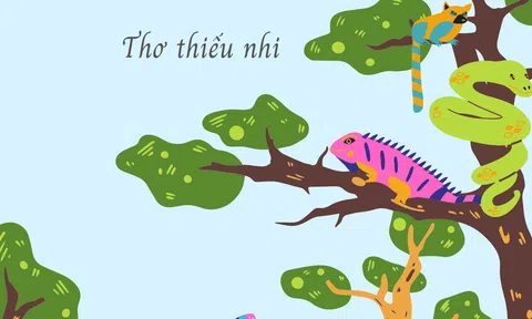 Đồng dao trên núi