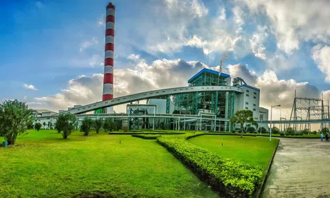Công ty Cổ phần Nhiệt điện Hải Phòng từng bước triển khai công tác Chuyển đổi số và thực hiện trách nhiệm xã hội.