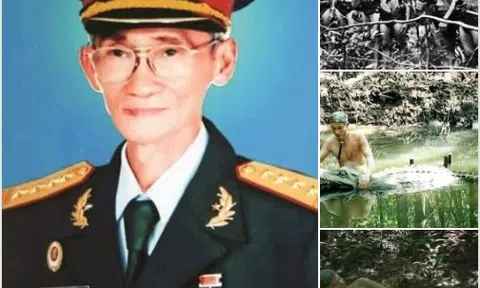 Sấu dữ rừng Sác​