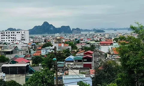 Quê hương là nơi để về