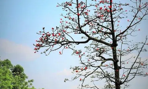 Trẻ em và đọc sách