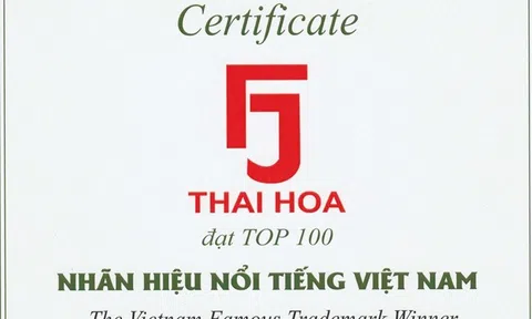 Công ty Cổ phần Xuất nhập khẩu Thời trang Thái Hòa – Đơn vị uy tín trong lĩnh vực thời trang nữ