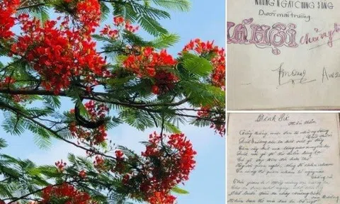 Nhớ thời hoa đỏ