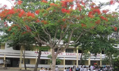 Chuyện muôn thủa