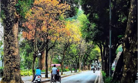 Sự nhếch nhác đáng yêu