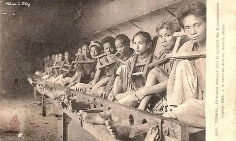 "Hà Thành đầu độc" vụ án táo bạo, bất thành