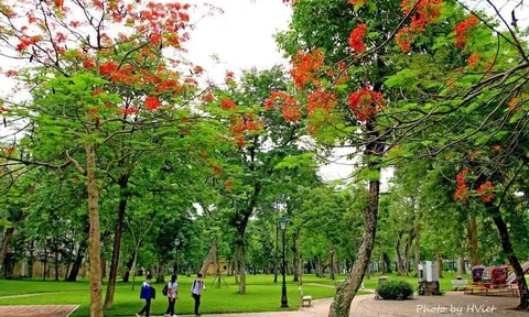 Hoài niệm ngày hè