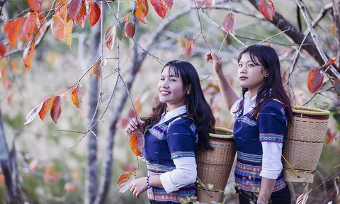 Tục bắt chồng của người Tây Nguyên