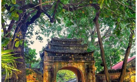 Dại quá!