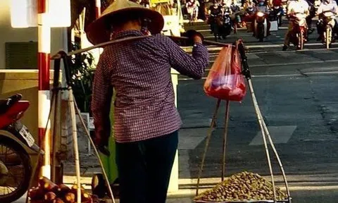 Khoai bổ hơn gạo