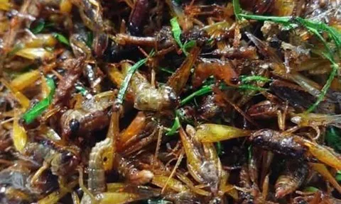 “Tôm bay” rang lá chanh