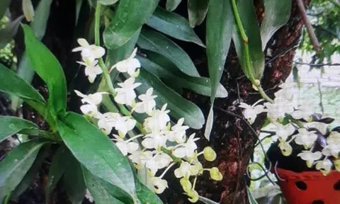 Chuyện phiếm vô đề