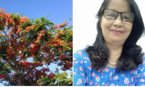 Không lấy là lấy
