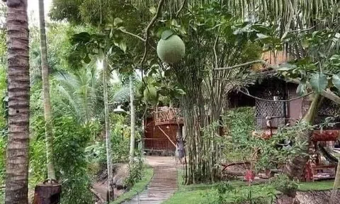 Thèm làm người nhà quê