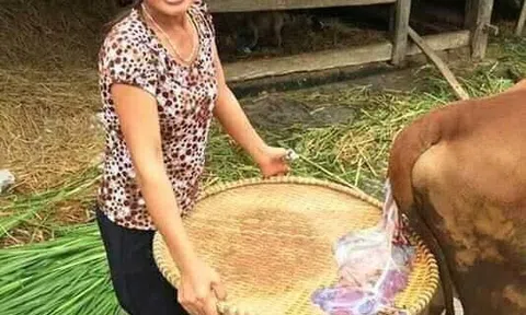 Rau sạch!