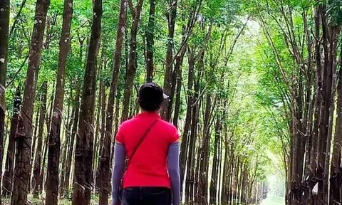 Về thăm chồng cũ