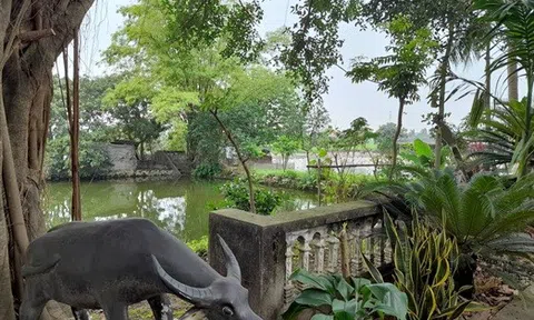 Người dân thôn Dương Cương, huyện Kim Bảng, tỉnh Hà Nam chung tay cải tạo Chuôm đình