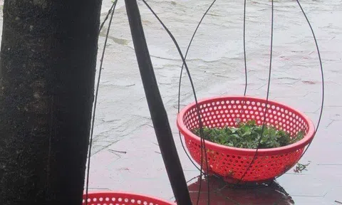 Người già cần gì?