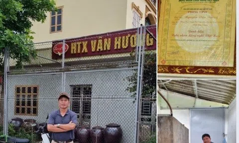 Vân hương mỹ tửu