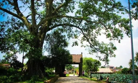 Cổng làng