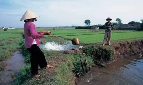 Chỉ vì chiếc gầu giai (Tản mạn chuyện quê)