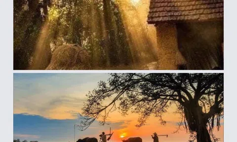  Một số tập tục Tết 5/5