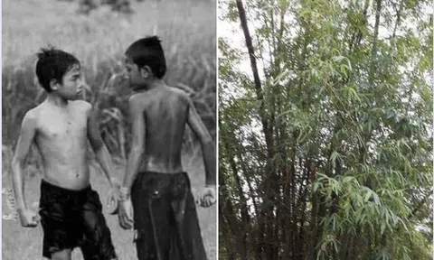 Ký ức buồn tuổi thơ