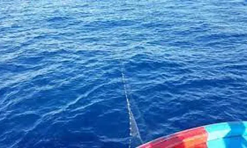 Lưới chuồn biển ngang