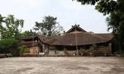 Bà nội của vợ