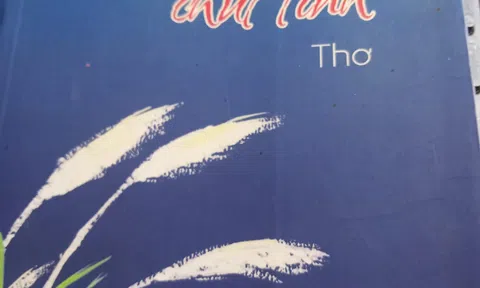 Thương ai đội mảnh trăng khô đỉnh đầu