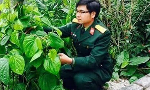 Tản văn: Trầu không