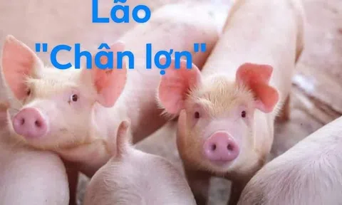 Lão “chân lợn”