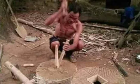 Phó cối