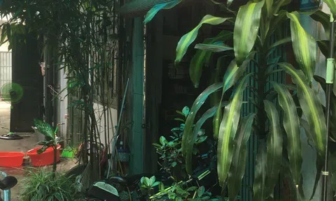 Xứ Đoài books, điểm giao lưu sách xưa và nay