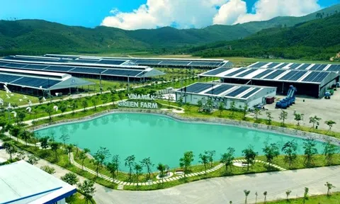 Vinamilk Green Farm – Một dấu ấn rõ nét của ngành sữa Việt Nam trên hành trình phát triển bền vững