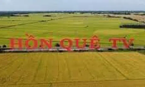 Người đan rổ rá cho làng