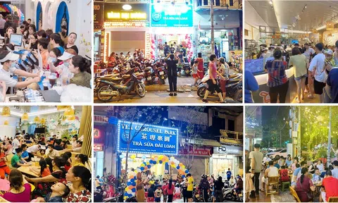 Trà sữa Đài Loan Tea Carousel Park và Sữa chua trân châu Hoàng Gia - Thương hiệu nhượng quyền “hot” nhất hiện nay