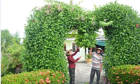 Kiên Giang: Vĩnh Thuận giữ gìn cảnh quan môi trường xanh - sạch -  đẹp và an toàn