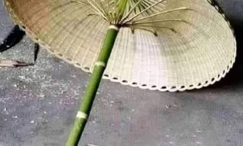 Quý tử hay nghịch tử