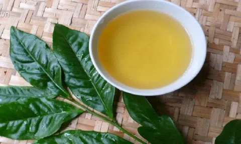Nước vối