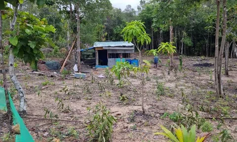 Phú Quốc (Kiên Giang): Tăng cường phối hợp trong xử lý lấn, chiếm đất rừng
