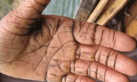 Tiếng thơm để đời