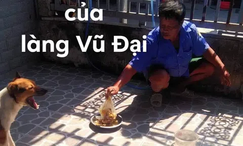 Phiên bản lỗi của làng Vũ Đại